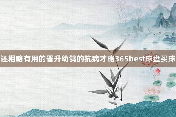 还粗略有用的晋升幼鸽的抗病才略365best球盘买球