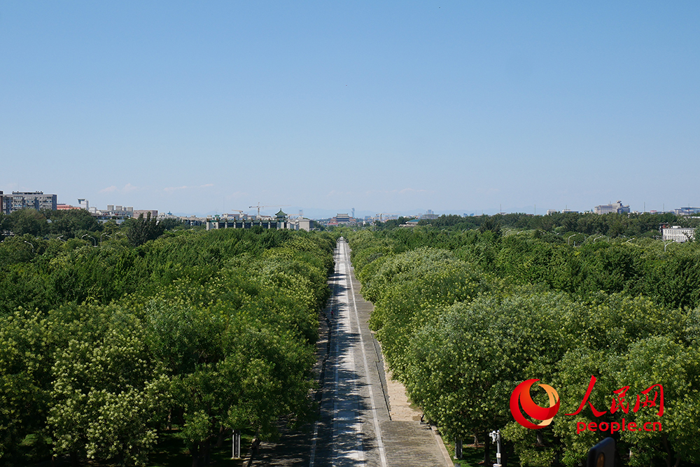 在南段的永定门城楼上瞭望中轴线。东说念主民网记者 韦衍行摄