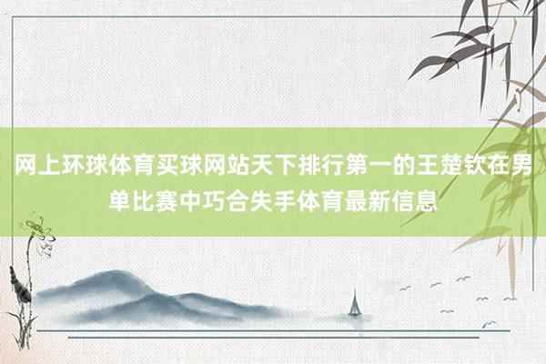 网上环球体育买球网站天下排行第一的王楚钦在男单比赛中巧合失手体育最新信息