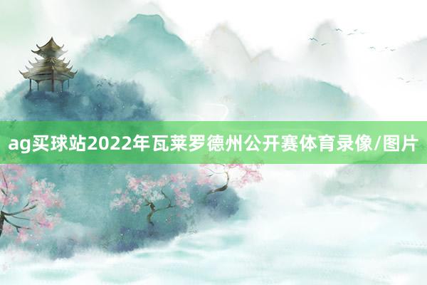 ag买球站2022年瓦莱罗德州公开赛体育录像/图片