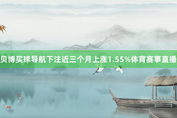 贝博买球导航下注近三个月上涨1.55%体育赛事直播