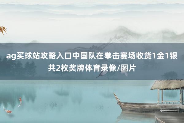 ag买球站攻略入口中国队在拳击赛场收货1金1银共2枚奖牌体育录像/图片