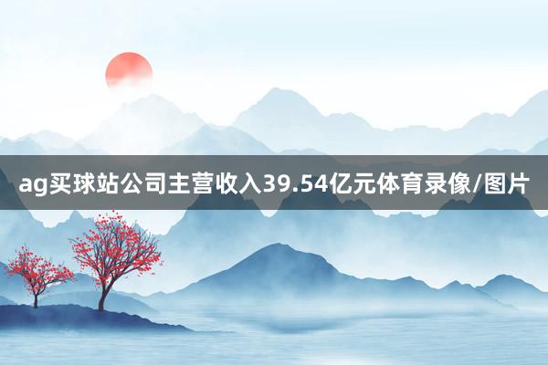 ag买球站公司主营收入39.54亿元体育录像/图片